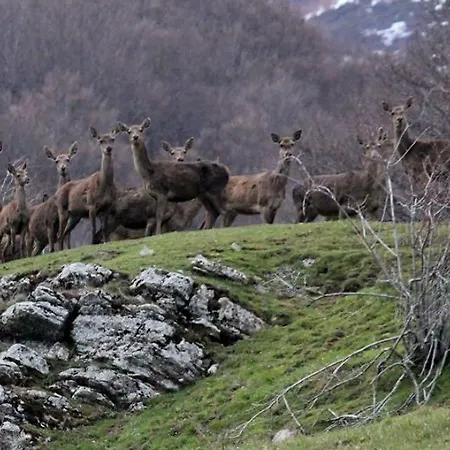 Szálloda Hotel-posada Fuentes Carrionas Camasobres