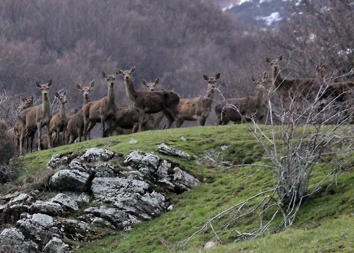 Hotel Hotel-posada Fuentes Carrionas Camasobres